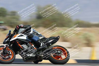 media/Oct-13-2025-Moto Forza (Mon) [[a66d839500]]/3-B Group/Session 4 Turn 4 Tree of Life/